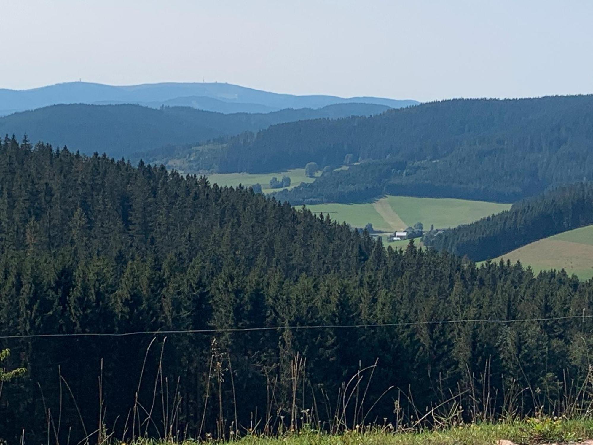 Ferienwohnung Pepe Donaueschingen Dış mekan fotoğraf