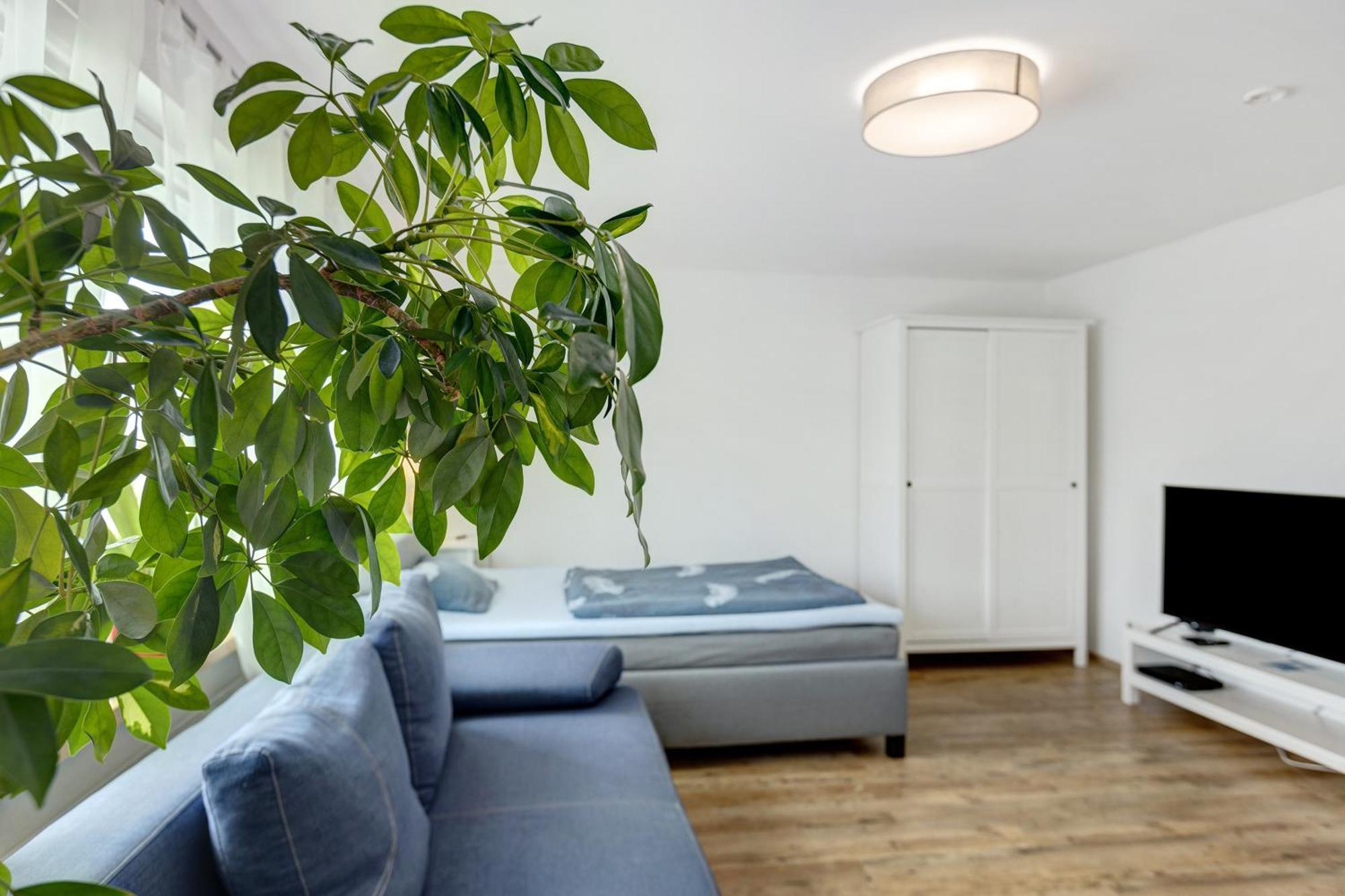 Ferienwohnung Pepe Donaueschingen Dış mekan fotoğraf
